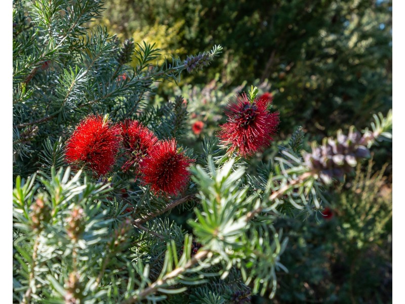 5219 Arthur Highway, Eaglehawk Neck TAS 7179