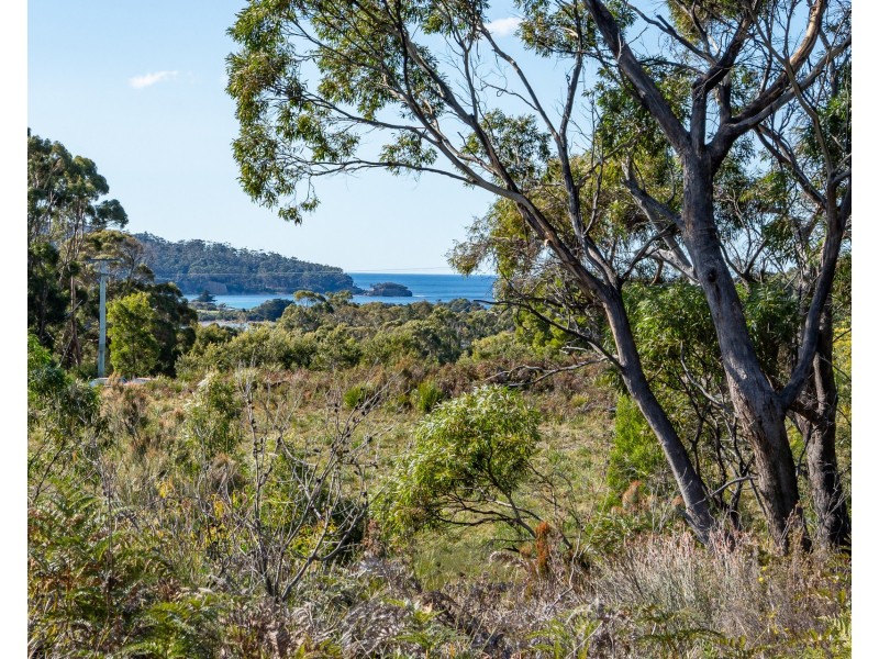 5219 Arthur Highway, Eaglehawk Neck TAS 7179