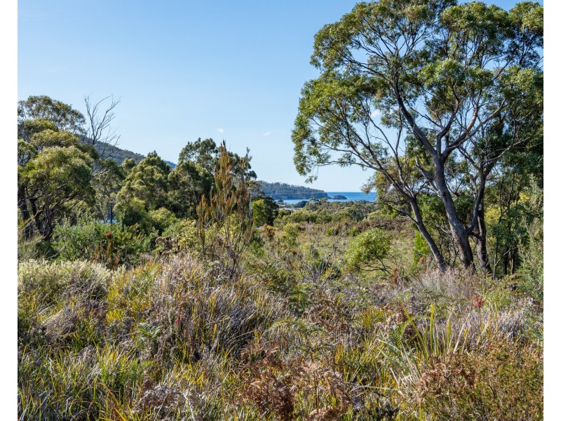 5219 Arthur Highway, Eaglehawk Neck TAS 7179