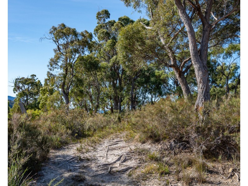 5219 Arthur Highway, Eaglehawk Neck TAS 7179