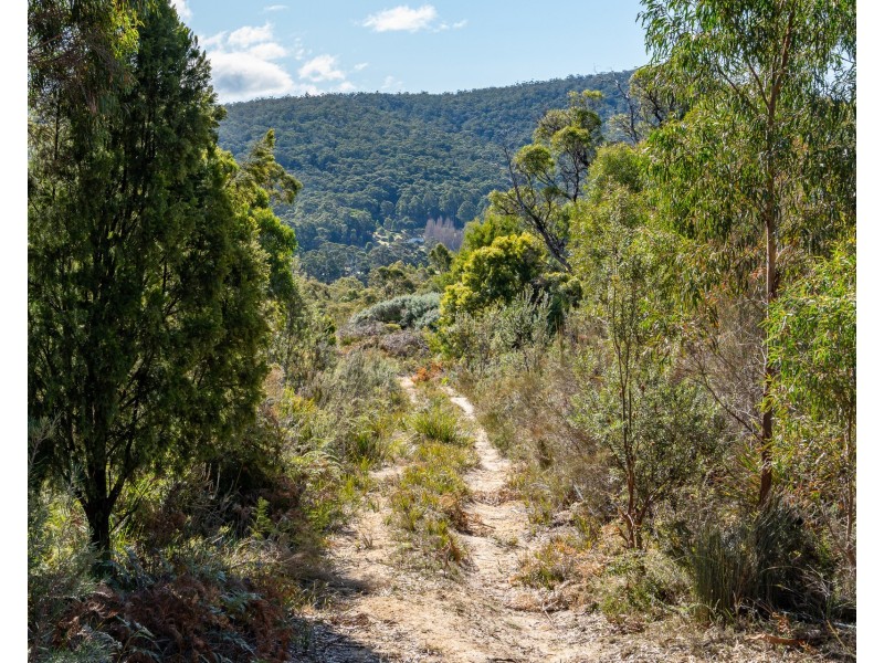 5219 Arthur Highway, Eaglehawk Neck TAS 7179