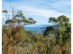 5219 Arthur Highway, Eaglehawk Neck TAS 7179