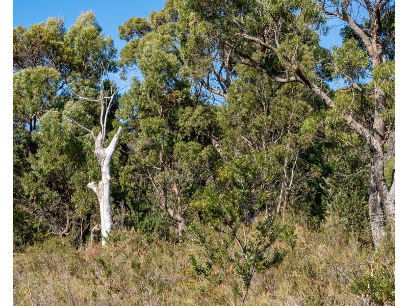 5219 Arthur Highway, Eaglehawk Neck TAS 7179