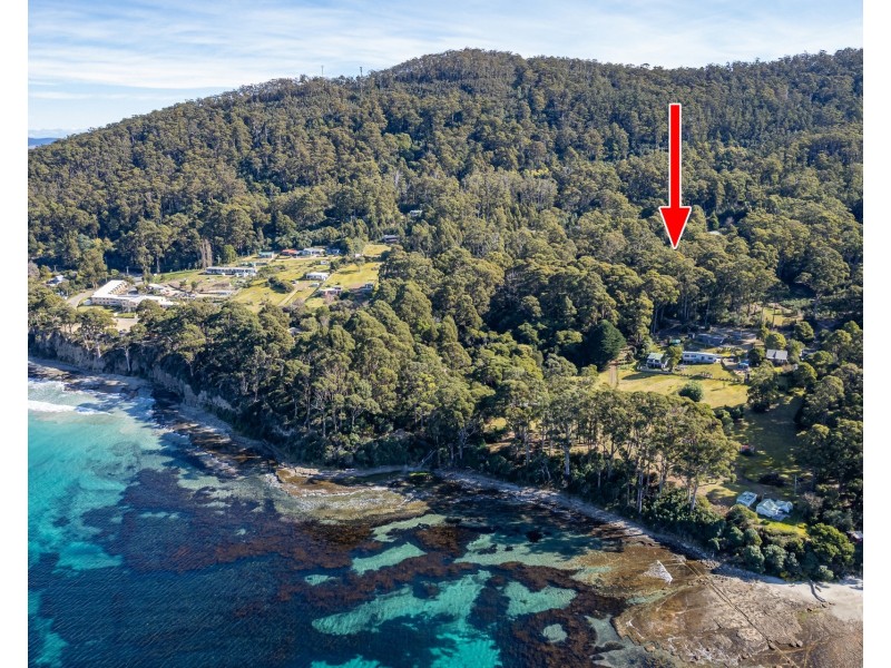 6 Lyndal Drive, Eaglehawk Neck TAS 7179