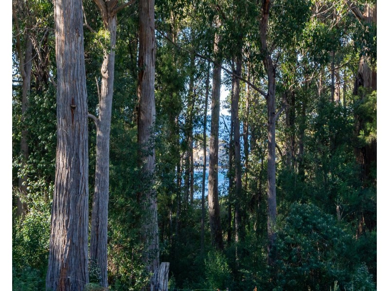 6 Lyndal Drive, Eaglehawk Neck TAS 7179