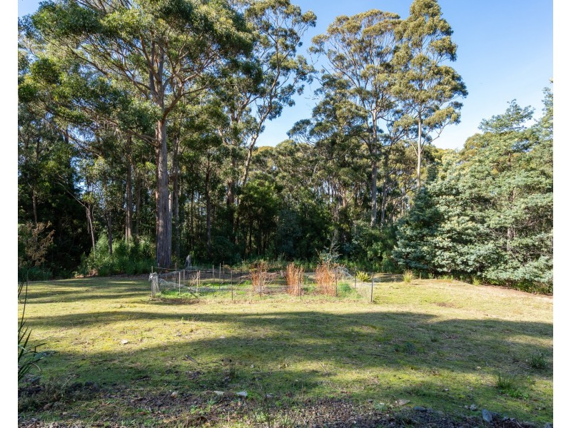 6 Lyndal Drive, Eaglehawk Neck TAS 7179