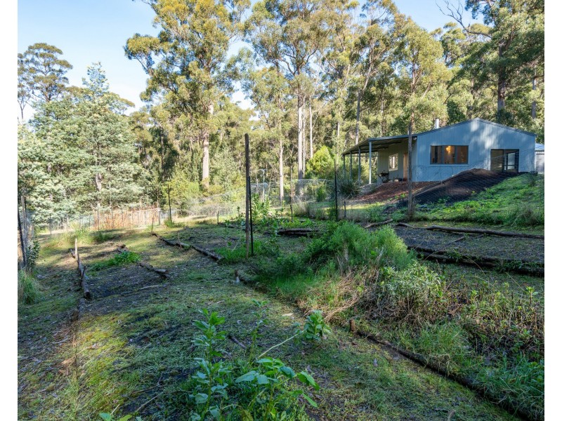 6 Lyndal Drive, Eaglehawk Neck TAS 7179