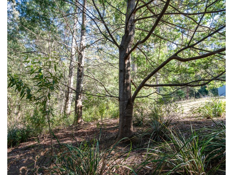 6 Lyndal Drive, Eaglehawk Neck TAS 7179