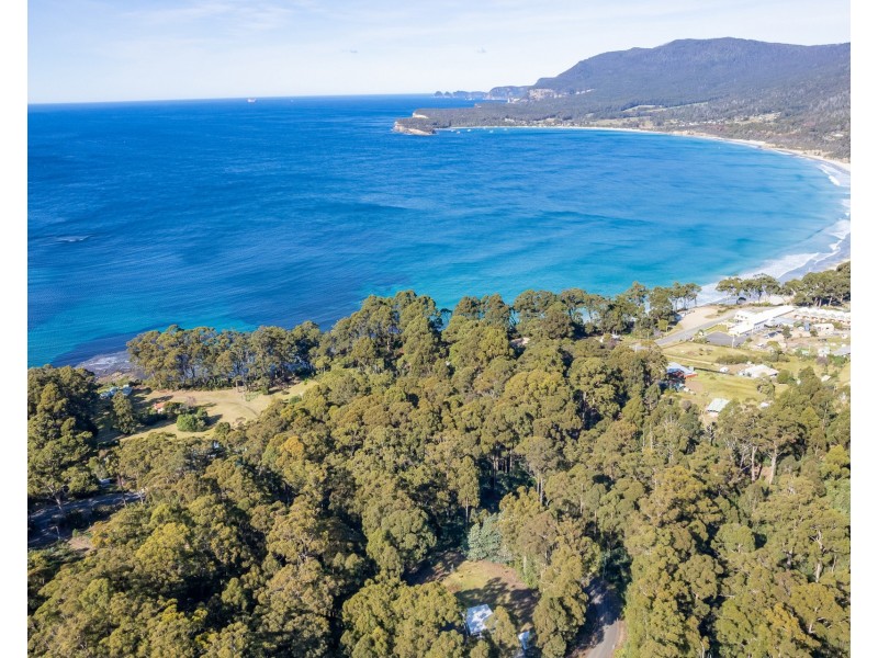 6 Lyndal Drive, Eaglehawk Neck TAS 7179