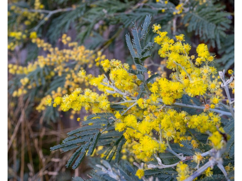 58 Erle Street, Carlton River TAS 7173