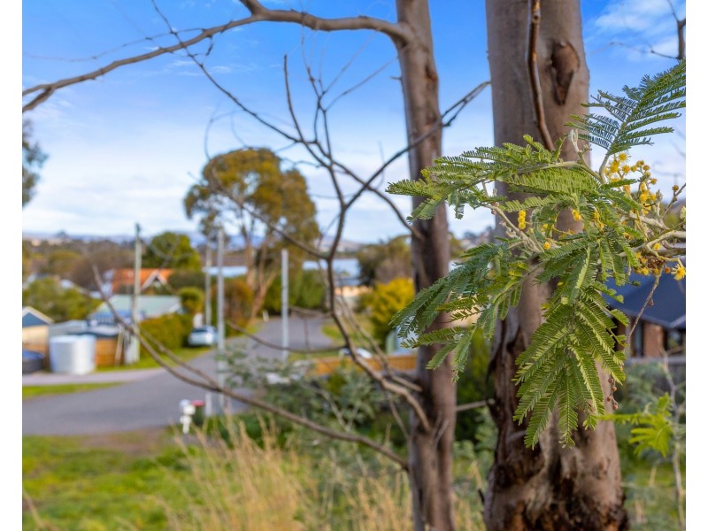 58 Erle Street, Carlton River TAS 7173