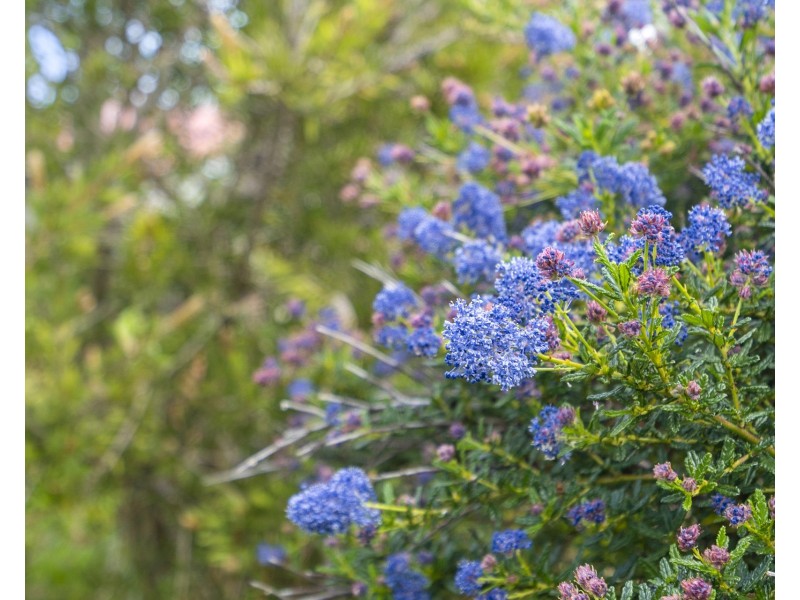1687 Main Road, Nubeena TAS 7184