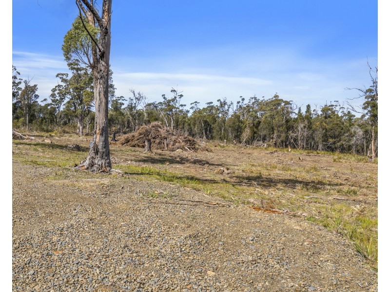 4021 Arthur Highway, Murdunna TAS 7178