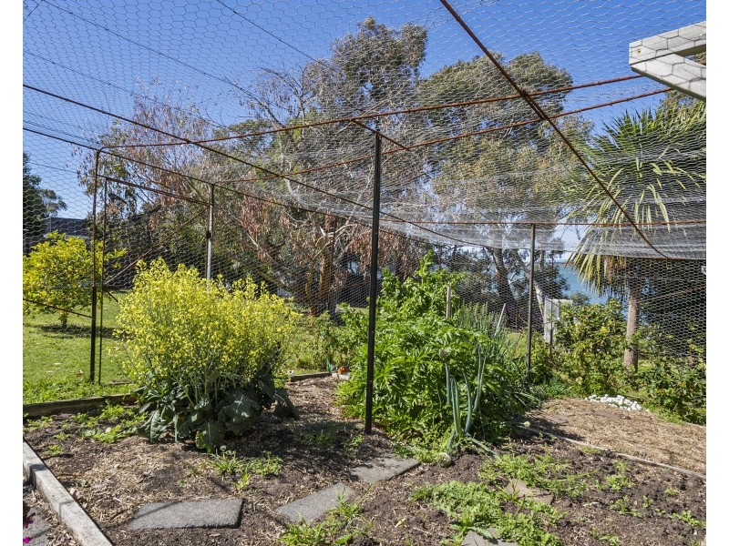 559 Shark Point Road, Penna TAS 7171