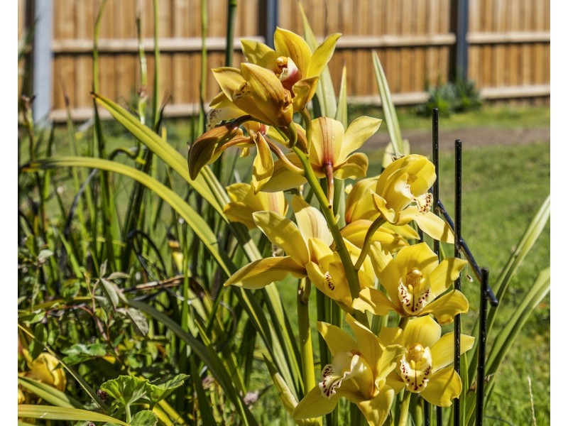 559 Shark Point Road, Penna TAS 7171