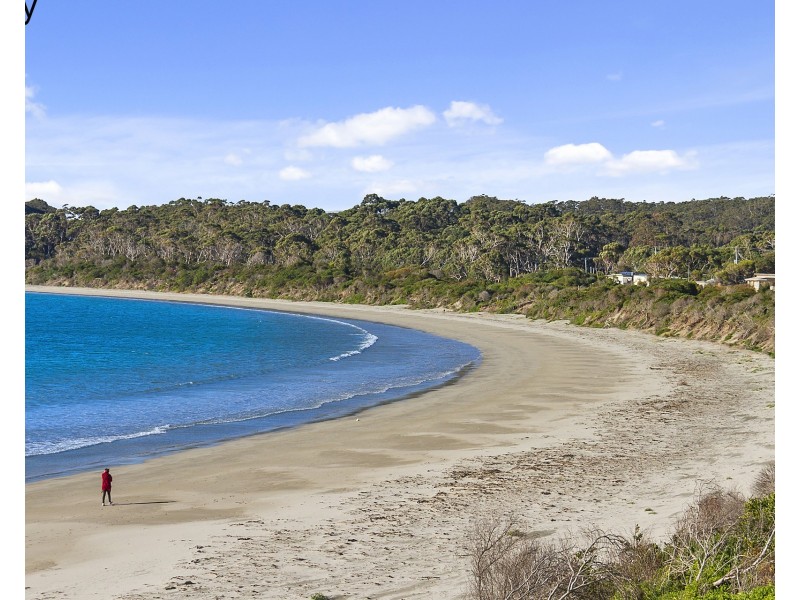 45 Mason Point Road, Eaglehawk Neck TAS 7179