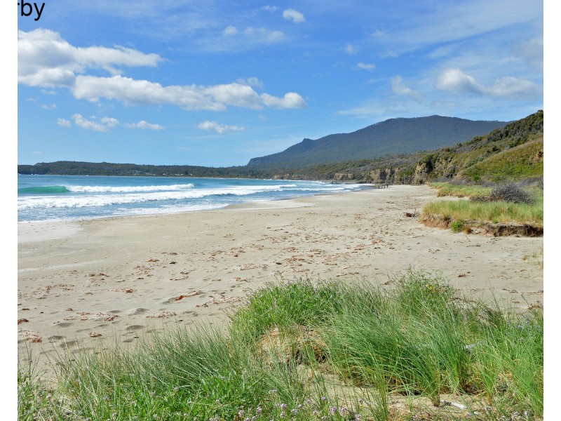 45 Mason Point Road, Eaglehawk Neck TAS 7179