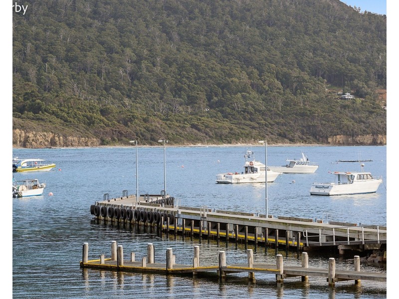 45 Mason Point Road, Eaglehawk Neck TAS 7179