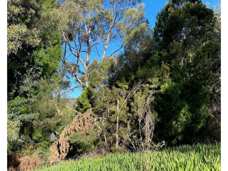 45 Mason Point Road, Eaglehawk Neck TAS 7179