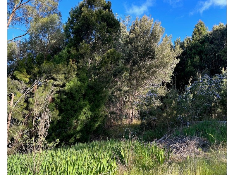 45 Mason Point Road, Eaglehawk Neck TAS 7179