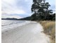 5/309 White Beach Road, White Beach TAS 7184
