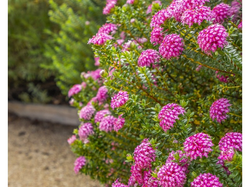 5 Shamrock Court, Carlton TAS 7173