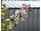 52 Riviera Drive, Carlton TAS 7173