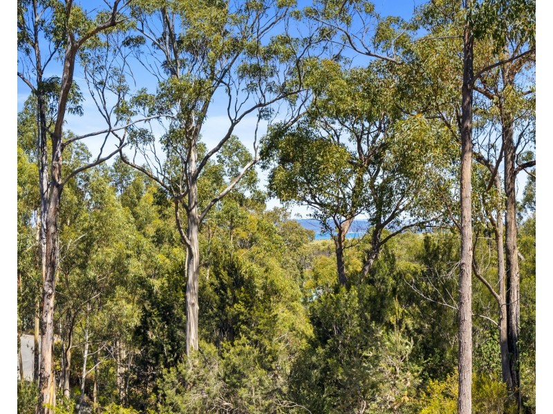 33 Reef View Road, Murdunna TAS 7178