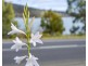 5821 Arthur Highway, Taranna TAS 7180
