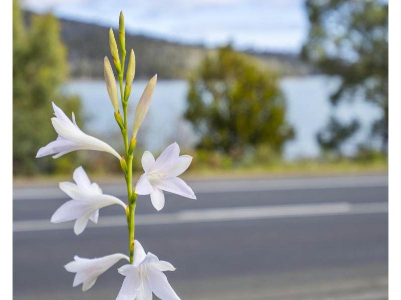 5821 Arthur Highway, Taranna TAS 7180