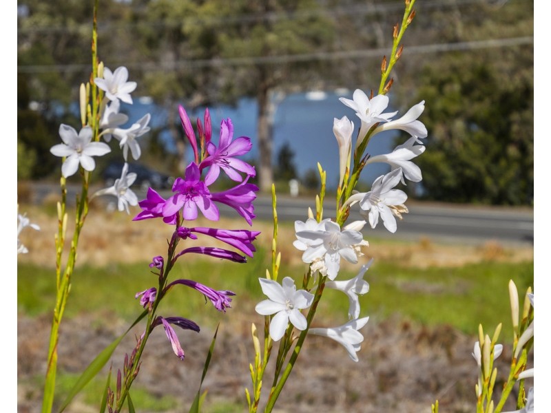 5821 Arthur Highway, Taranna TAS 7180