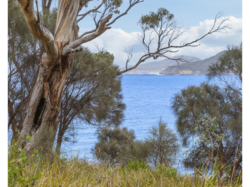 518 White Beach Road, White Beach TAS 7184