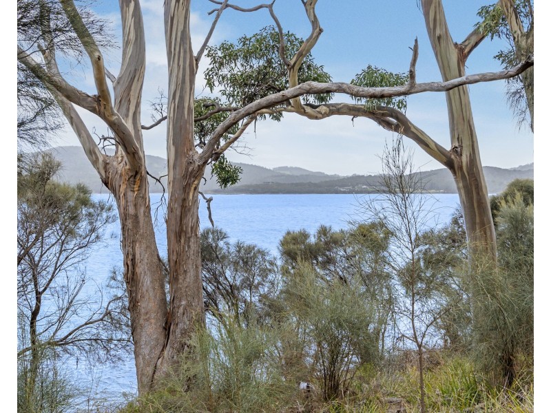 518 White Beach Road, White Beach TAS 7184