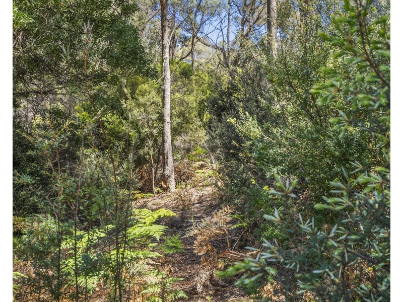 88 Old Jetty Road, Eaglehawk Neck TAS 7179