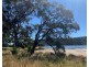 3932 Arthur Highway, Murdunna TAS 7178