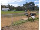 3932 Arthur Highway, Murdunna TAS 7178