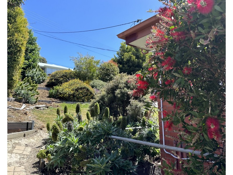 1/8 Wallace Avenue, Lenah Valley TAS 7008