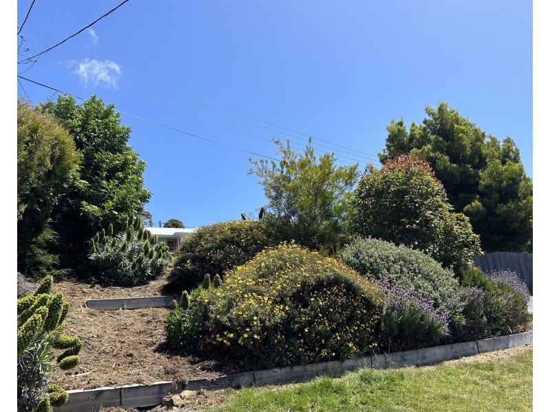 1/8 Wallace Avenue, Lenah Valley TAS 7008