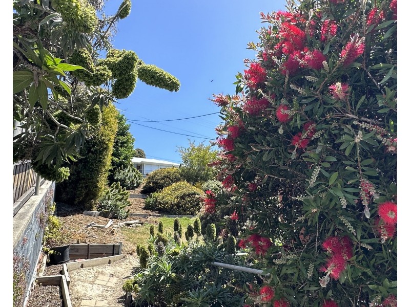 1/8 Wallace Avenue, Lenah Valley TAS 7008