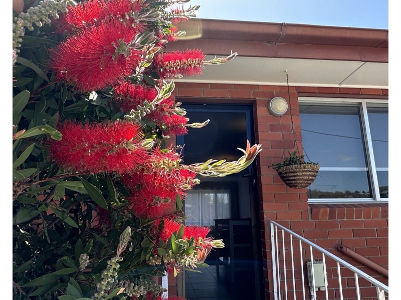 1/8 Wallace Avenue, Lenah Valley TAS 7008