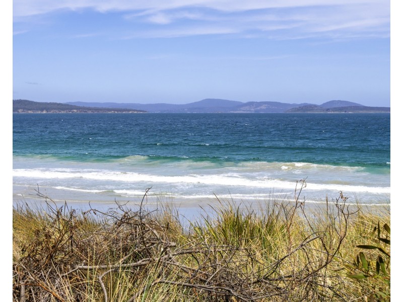3B Grebe Street, Primrose Sands TAS 7173