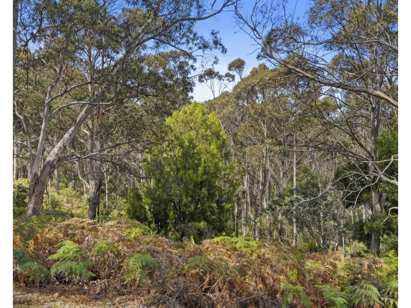 678 Dam Road, Nubeena TAS 7184