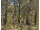 678 Dam Road, Nubeena TAS 7184