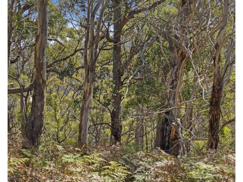 678 Dam Road, Nubeena TAS 7184