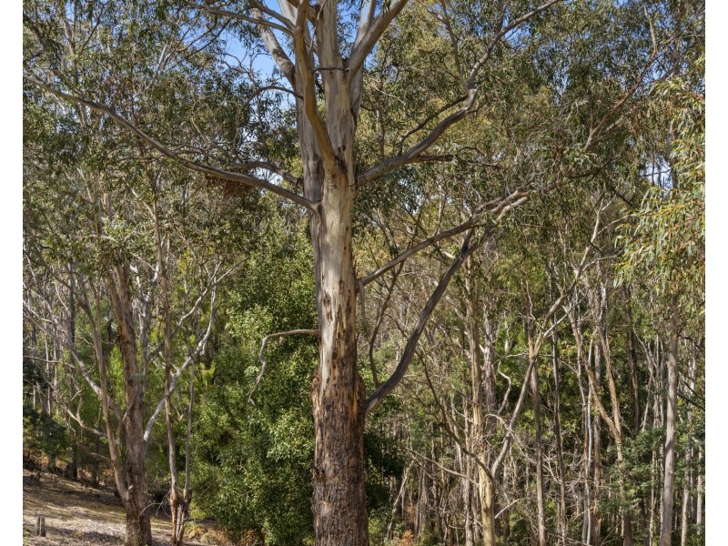 678 Dam Road, Nubeena TAS 7184