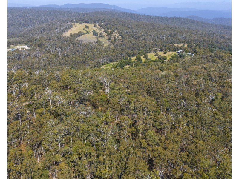 678 Dam Road, Nubeena TAS 7184