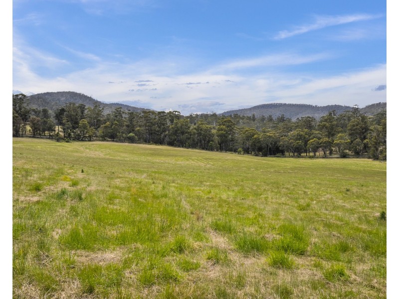 1 Aldridge Road, Orielton TAS 7172
