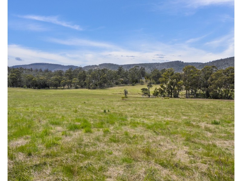 1 Aldridge Road, Orielton TAS 7172