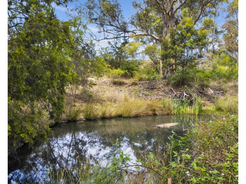 1 Aldridge Road, Orielton TAS 7172