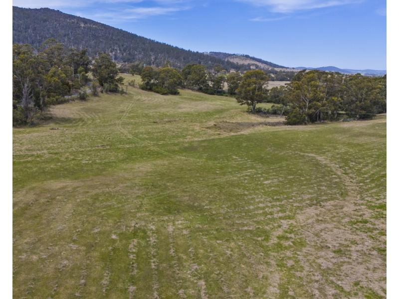 1 Aldridge Road, Orielton TAS 7172